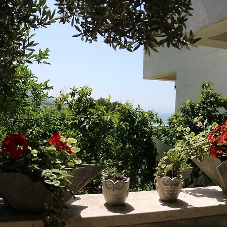 Beautifull Sea View Apartment Baška Voda Exteriör bild