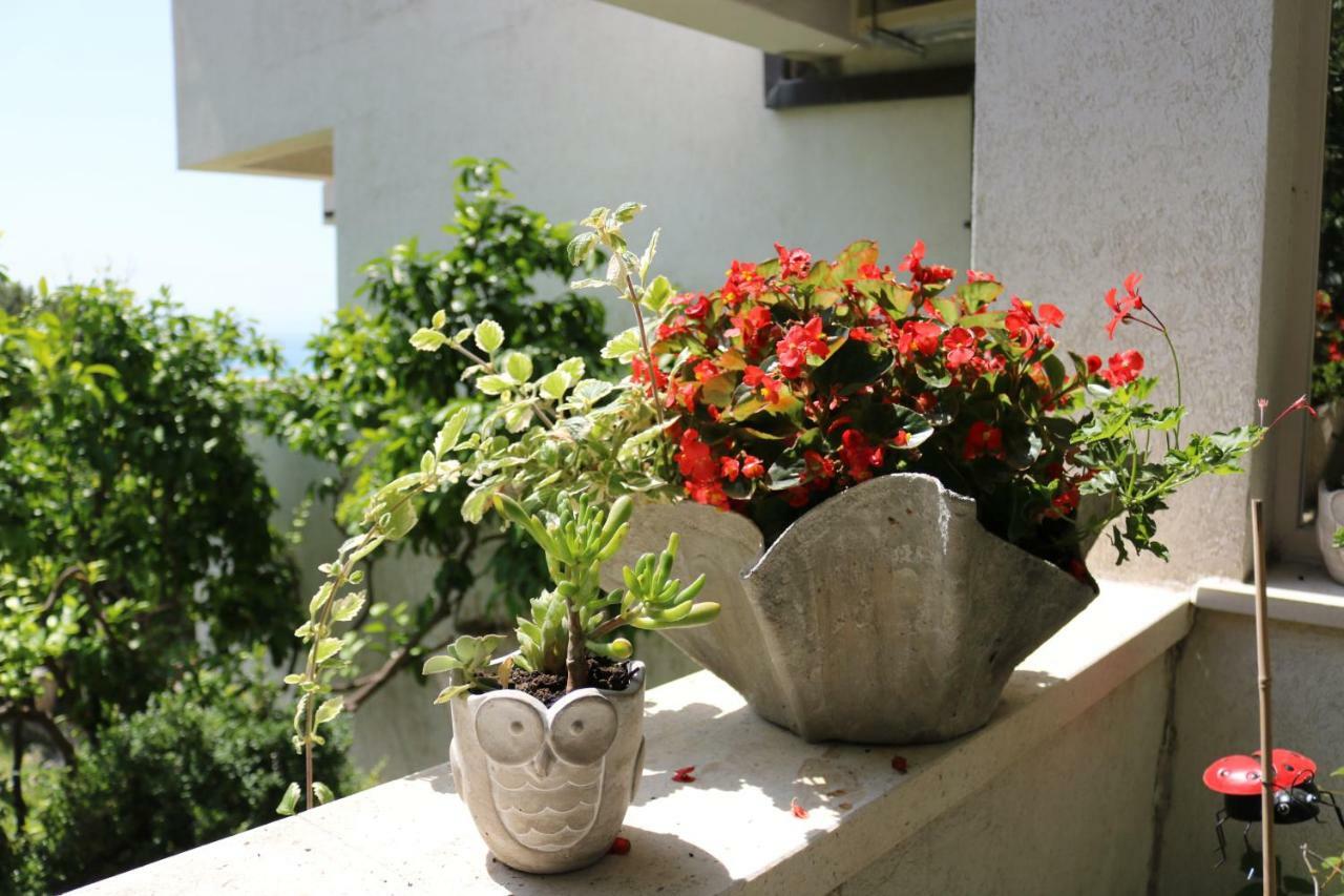 Beautifull Sea View Apartment Baška Voda Exteriör bild